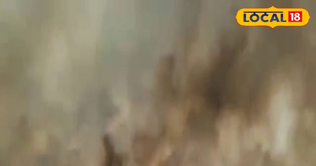 मिर्जापुर में आग का तांडव, दस बीघा गेहूं समेत 2 हजार मुर्गियां जलकर खाक, ग्रामीणों में आक्रोश