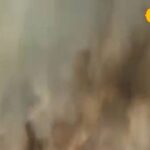 मिर्जापुर में आग का तांडव, दस बीघा गेहूं समेत 2 हजार मुर्गियां जलकर खाक, ग्रामीणों में आक्रोश