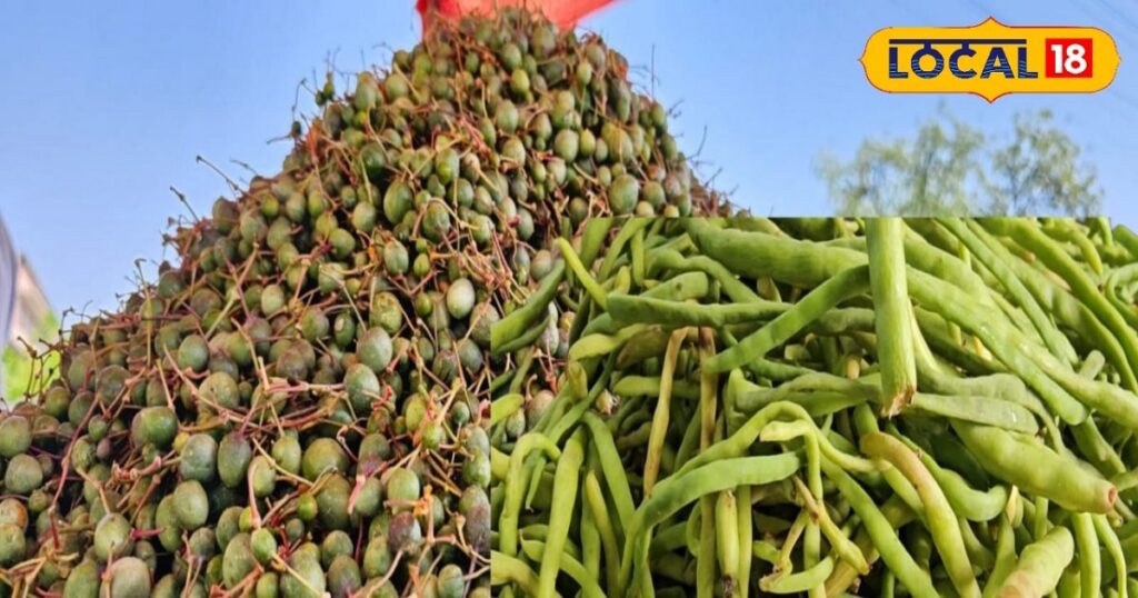 Kair-Sangri grown in Rajasthan has special recognition as a vegetable in the country and the world – News18 हिंदी