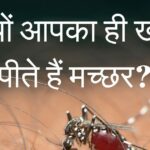 आपको ही क्‍यों ज्‍यादा काटते हैं मच्‍छर? स‍िर पर बनाते हैं ऐसा झुंड की प‍िंड छुड़ाना मुश्किल, जान लीज‍िए असली वजह