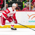 Red Wings Prospect Is A Wrecking Ball