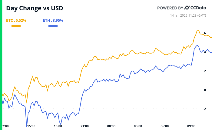 Massive Selloff Doesn’t Stop BTC Institutional Adoption