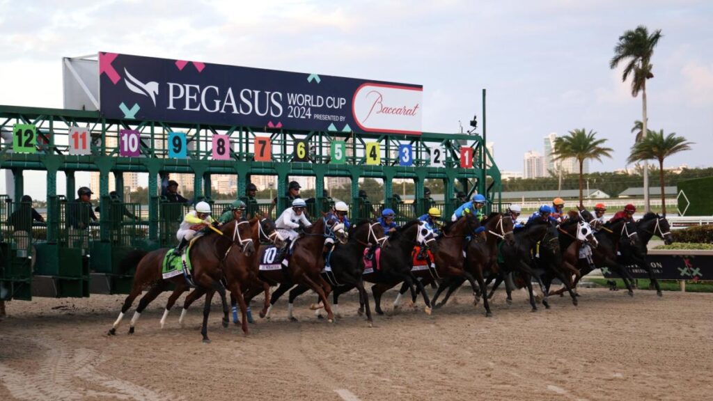 White Abarrio wins $3 million Pegasus World Cup with dominant performance at Gulfstream