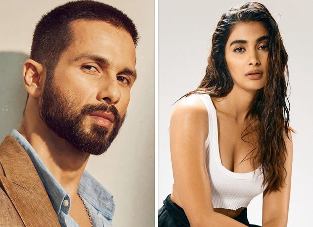 Deva: Shahid Kapoor, Pooja Hegde to ignite Dubai’s ILT20 with their new song ‘Bhasad Macha’ : Bollywood News