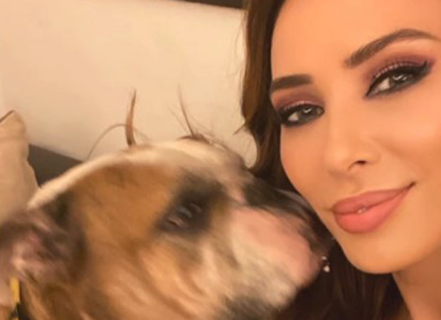 Iulia Vantur mourns loss of Salman Khan’s dog Toro, shares emotional tribute : Bollywood News