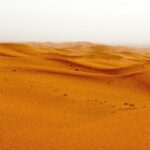 Sandboxes Are a Way Out of the Regulatory Sandstorm