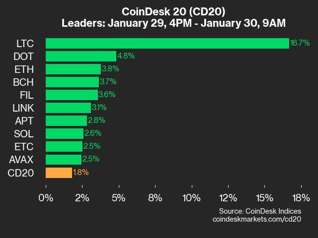 LTC Surges 16.7% as All Assets Trade Higher