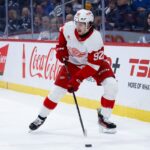 Red Wings Have Their New Future Shutdown Center