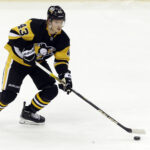 5 Interesting Things About Penguins Danton Heinen