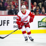 Detroit Red Wings Assign Dominik Shine To Grand Rapids