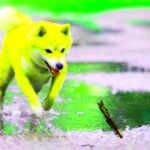 Shiba Inu Partners With UAE Ministry of Energy