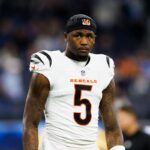 Tee Higgins says the Bengals have placed franchise tag on him for a 2nd time