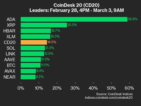 Cardano Rises 58.8% as Nearly All Assets Trade Higher