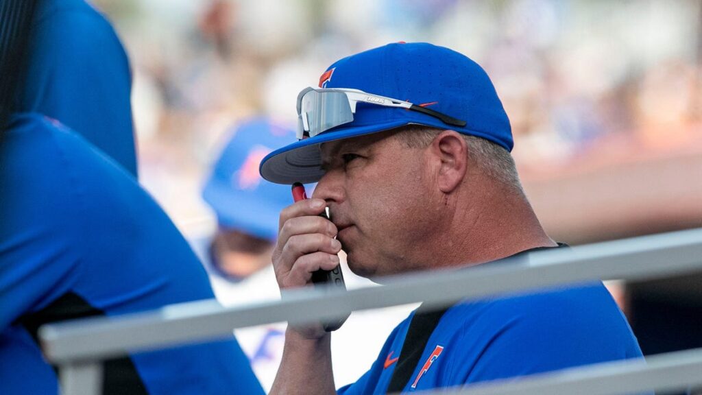 Florida baseball vs Georgia Bulldogs Game 3 recap