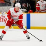 Former Red Wings Defender Signs New Deal