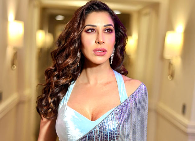 Sophie Choudry slams Swiggy after delivery rider allegedly flees hit-and-run scene : Bollywood News