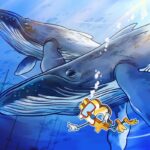 Bitcoin exchange outflows mimic 2023 as whales buy retail ‘panic’
