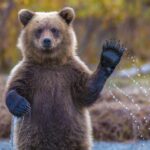 Why are BTC, ETH, XRP, SOL Down Today? Traders Eye $70,000 Bitcoin as Tariffs Take Effect