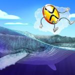 XRP whale flow and technical setup hint at 40% price boom next
