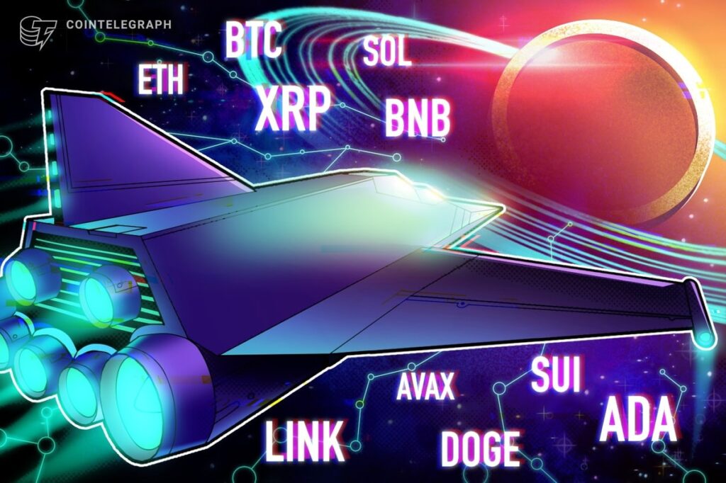 BTC, ETH, XRP, BNB, SOL, DOGE, ADA, SUI, LINK, AVAX