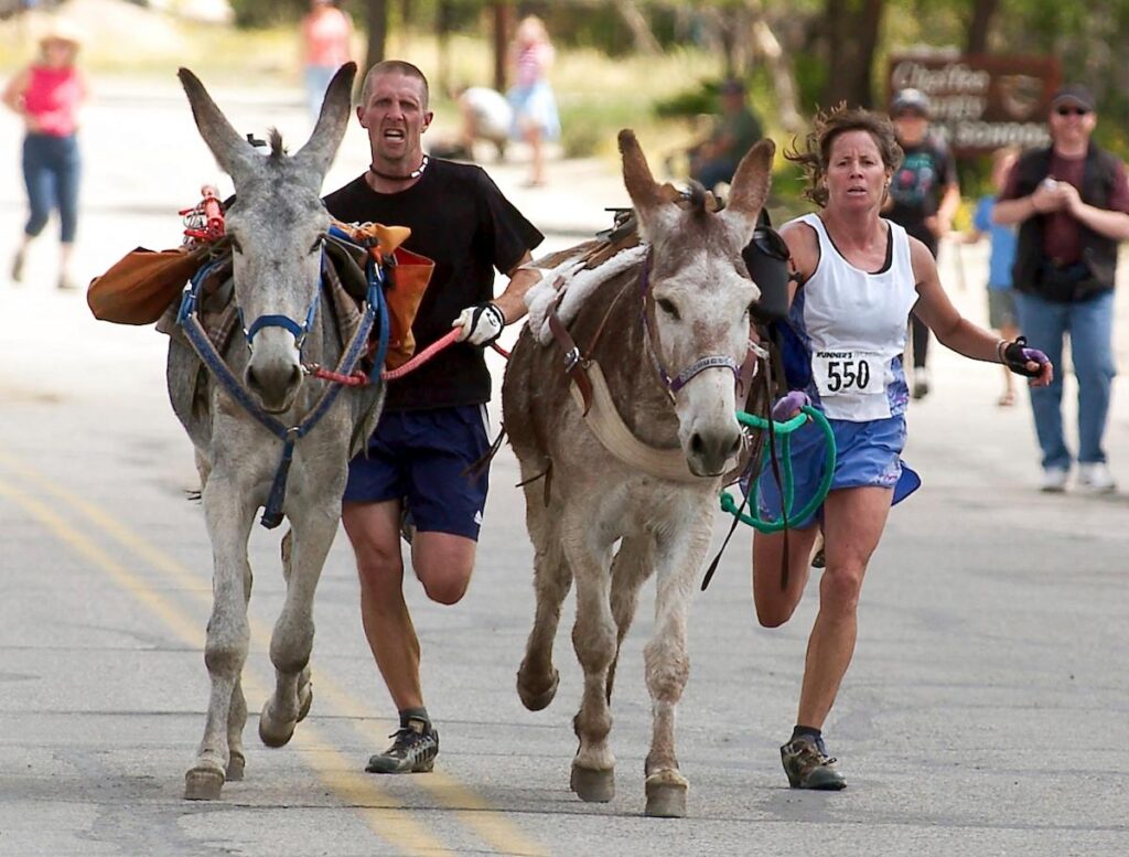 Backcountry runners embrace the thrill of racing with burros in New Mexico