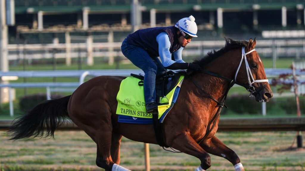 Kentucky Derby 2025 horses: Trainers, jockeys, owners, records