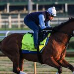 Kentucky Derby 2025 horses: Trainers, jockeys, owners, records