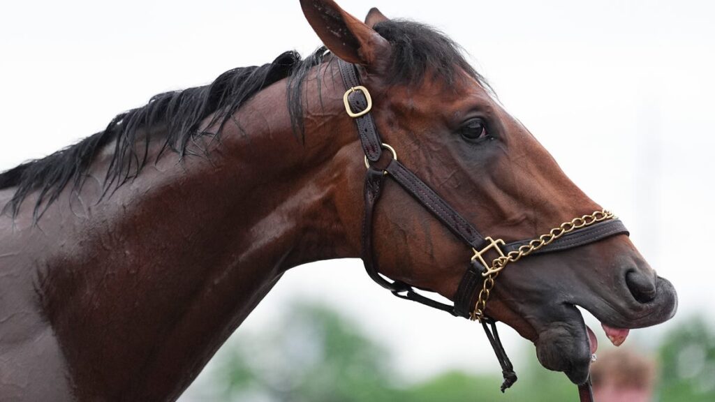 Kentucky Derby 2025 horses list: odds, trainers, jockeys, scratches