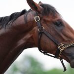 Kentucky Derby 2025 horses list: odds, trainers, jockeys, scratches