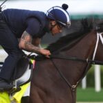 Grande scratched from Kentucky Derby with bruised foot