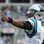 Panthers great Cam Newton weighs in on ‘100 men vs. 1 gorilla’ debate