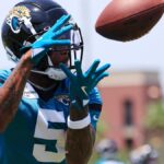 Jaguars’ free agent signing WR Dyami Brown stands out on Day 1 of OTAs