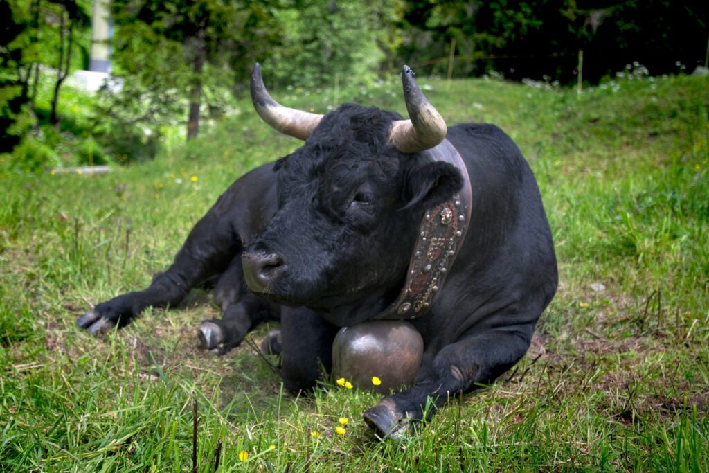 BTC Enters Strongest Accumulation Phase Since January as Bitcoin Price Tops $110K