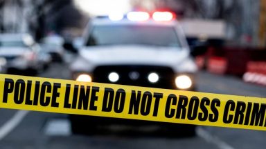 Updates on the Investigation – Hollywood Life