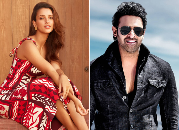 Triptii Dimri joins Prabhas in Bhushan Kumar and Sandeep Reddy Vanga’s next film SPIRIT : Bollywood News