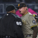Quite a spectacle: Padres manager Mike Shildt got so mad he threw his glasses at Yankee Stadium