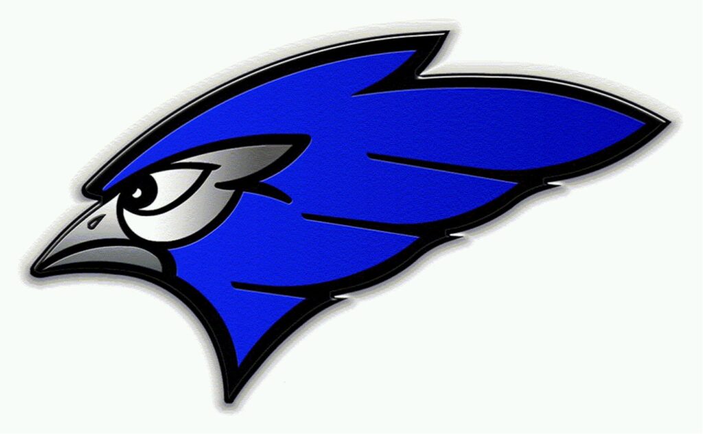 Blue Jays Roundup: Elise Roberts to represent in the state finals – Jamestown Sun