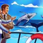 Ethereum whales, sharks keep buying up ETH as retail cashes out