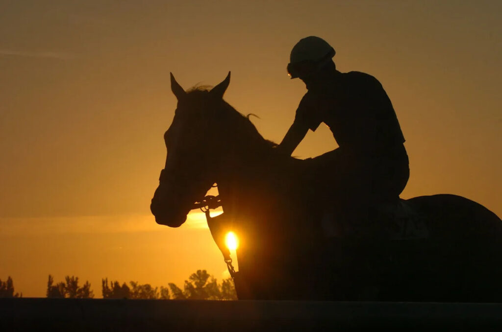 2025 Belmont odds, post positions, betting: Journalism (8-5) is morning-line favorite for 157th Belmont