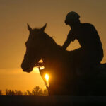 2025 Belmont odds, post positions, betting: Journalism (8-5) is morning-line favorite for 157th Belmont