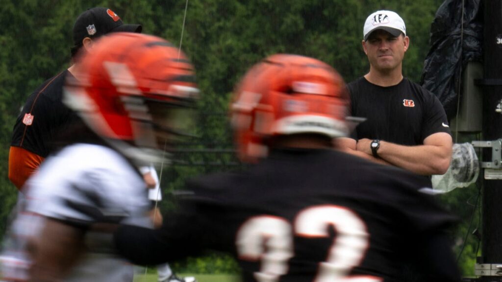 Bengals reveal scouting department hires after key departure
