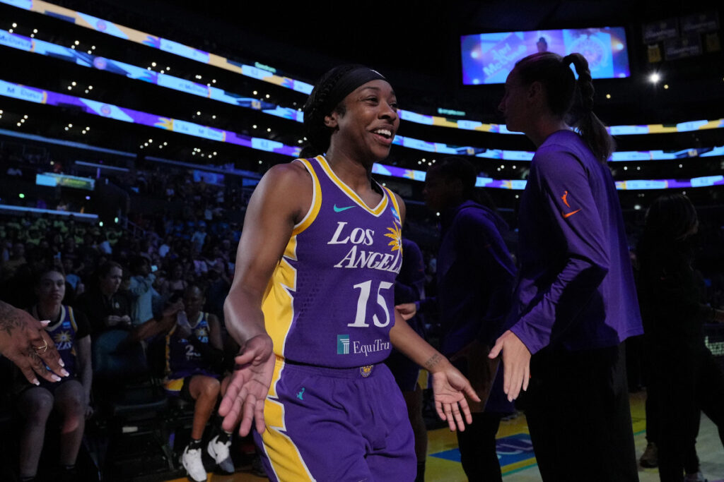 Fever Coach Stephanie White Has Blunt Opinion on Newest Addition
