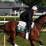 Meet the Belmont Stakes horses running in the 2025 race